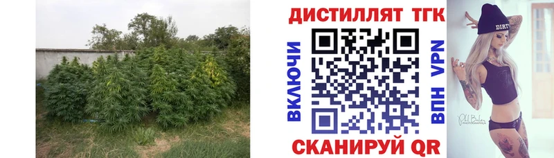 наркошоп  Обнинск  маркетплейс какой сайт  Дистиллят ТГК концентрат 